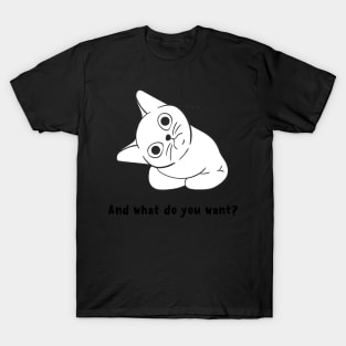 Black Illustrated And What Do You Want T-Shirt